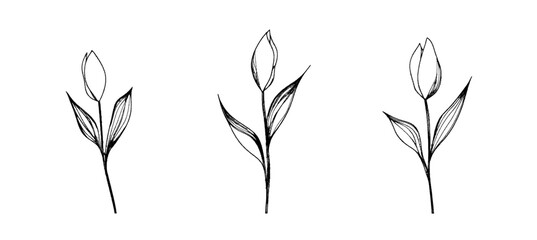 A set of wall art posters featuring abstract grunge flowers and leaves in a line art style is available, offering a trendy minimalist decor option with an abstract linear floral design, reminiscent