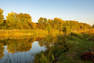 River landscape on a sunny autumn morning.. Beautiful autumn colors along the river. The serenity and tranquility of an autumn morning on the banks of a narrow rural river.