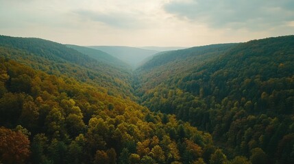 Obraz premium Allegheny National Forest. Pennsylvania Autumn Landscape with Green Hills and Falling Leaves