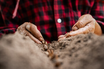 Planting seeds in the earth a farmer's hands at work rural field close-up natural setting focused effort