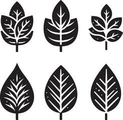 Black and white leaf icon silhouette vector set