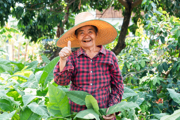 Gardening enthusiast thrives in lush backyard paradise rural community portrait nature close-up joyful lifestyle