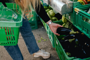 Close up of hands buying greens and vegetable on the local Farmers market. Customer Shopping At...