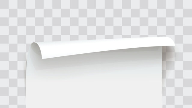 a paper top rolled on template back