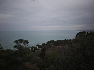 Vegetazione, costa e mare nelle Marche