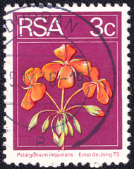 Postage stamp issued in South Africa in 1973, featuring Pelargonium inquinans, known as scarlet geranium. The red flowers are depicted on a deep purple background.
