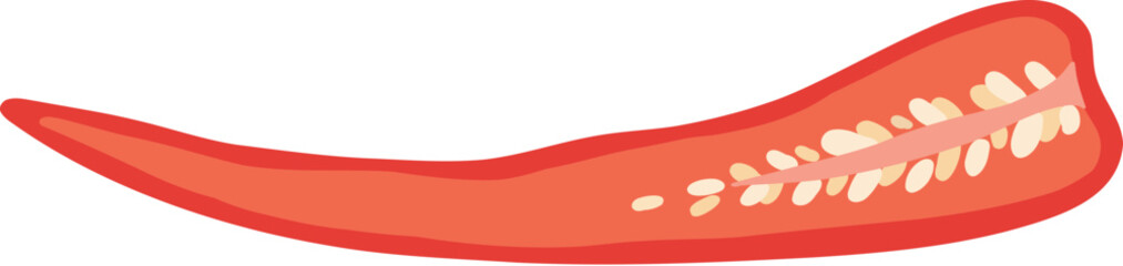 Pizza chilli ingredient isolated on white. Vector cartoon illustration of dough base, tomato, pepper, mushroom pieces, slices of ham and salami, ketchup sauce, olive oil, rosemary, italian fast food