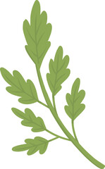 Pizza green branch ingredient isolated on white. Vector cartoon illustration of dough base, tomato, pepper, mushroom pieces, slices of ham and salami, ketchup sauce, olive oil, rosemary, italian food