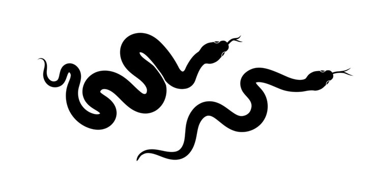 Two black snake silhouettes with curved bodies and forked tongues on a white background. The image represents danger, mystery, or reptile symbolism. Vector illustration