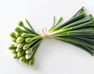 Obraz premium Spring green onions with a fresh mood tied in a bundle against a white background