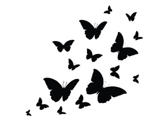 Black butterfly silhouettes. Outline butterflies romantic tattoo, tropical insects stencil. Summer and spring exotic symbols isolated vector set. Elegant wild flying moth of various shape