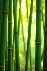 Fototapeta premium Interwoven bamboo, light filtering through, shadows, tropical, craft, green