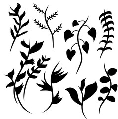 A collection of black silhouette botanical elements featuring various leaf and branch designs. Perfect for logos, patterns, invitations, and decorative projects. High-quality vector illustration.