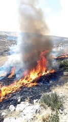 Obraz premium Wildfire Ravages Mountainside for Smoke billows.