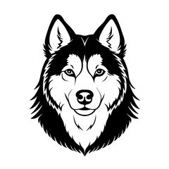 Naklejka premium Black and White Alaskan Malamute Head – Vector Illustration Isolated on White Background for Dog Breed, Pet, and Animal Designs, Malamute Head Vector, Alaskan Dog Face, Malamute Breed Icon