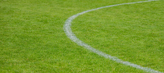 Fototapeta premium Fußballfeld - Rasensportplatz in einer Detail Aufnahme für die Hintergrund Nutzung