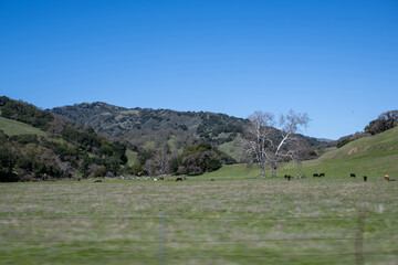 Die Luftperspektive zeigt ein weites, offenes Feld unter klarem Himmel, das an eine malerische Bergkette und ein &uuml;ppiges Tal angrenzt. Die Szenerie vermittelt Ruhe und nat&uuml;rliche Sch&ouml;nheit.