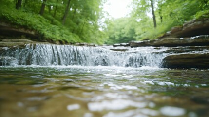 Fototapeta premium Serene river flowing through lush green forest, crystal clear water glistening under soft sunlight, tranquil nature escape.