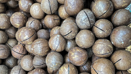 Macadamia nuts with a cut for quick opening of the nut are lying in shells.