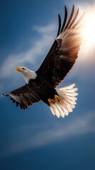 Naklejka premium Majestic Bald Eagle in Flight Against Blue Sky and Sunlight: Freedom, Strength, and American Symbolism