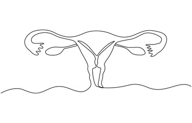 One continuous line drawing of woman uterus. Ovary and womb reproductive system, Woman reproductive system, one line continuous. Line art outline vector illustration of organs.