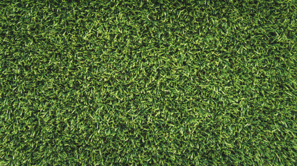 Fototapeta premium A textured carpet grass background, ideal for PC wallpapers or sports field designs