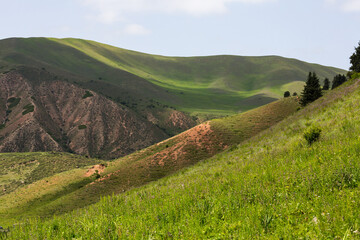 Terskey Ala-Too ridge of Tianshan Mountains in Kyrgyzstan