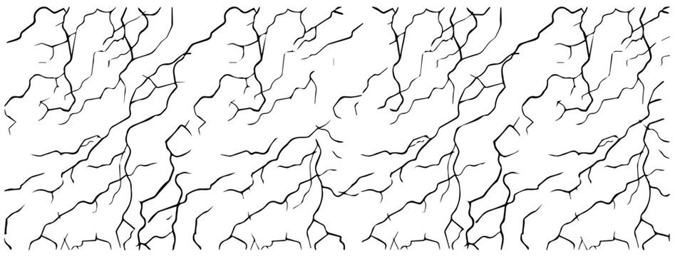lightning vein pattern with abstract branching lines in black and white vector