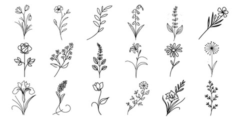 hand drawn black and white botanical flower illustrations set