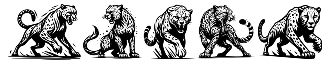 wild big cat illustrations in black and white sketch style