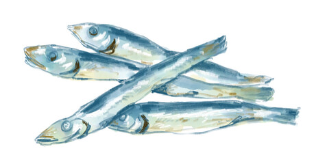 美味しそうな煮干しの水彩イラスト