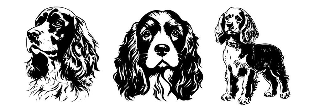 cocker spaniel dog silhouette set head and full body shape for laser cutting and engraving monochrome vector illustrations