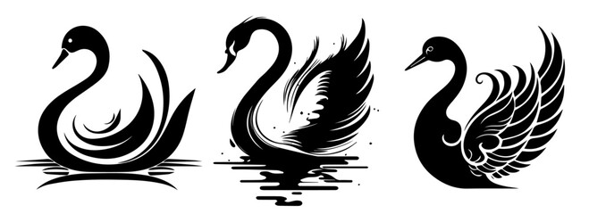 elegant swan tattoo set black and white hand drawn vector illustrations