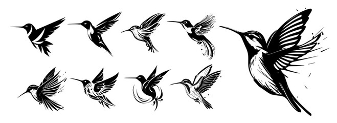 hummingbird tattoo set black and white hand-drawn vector illustrations