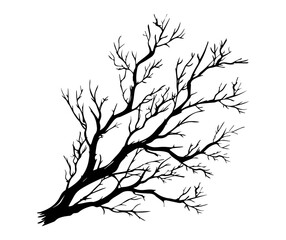 dry tree branch silhouette with leafless twigs in black and white vector