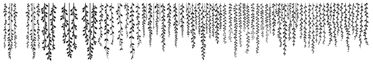 hanging vine and foliage silhouette set in hand drawn botanical style