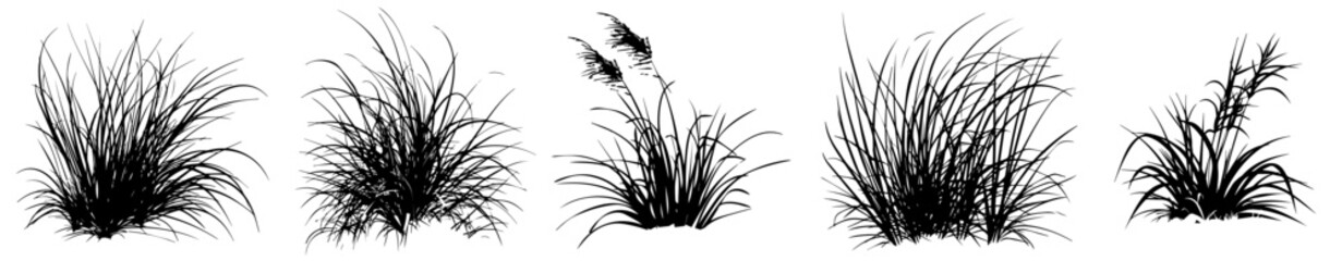 grass clumps set in hand drawn style