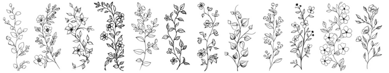 botanical branches with small leaves collection