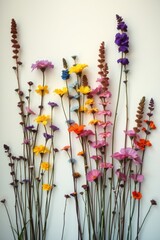 Colorful collection of pressed wildflowers arranged artistically on a white surface showcasing nature's beauty
