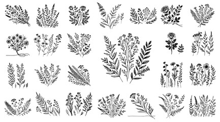 bouquet and foliage composition set with wild herbs and leaves