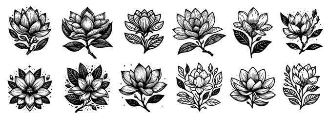 lotus flower collection in hand drawn ornamental style