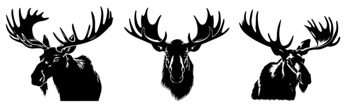 moose heads with antlers front view vector black shape illustration engraving and laser cutting