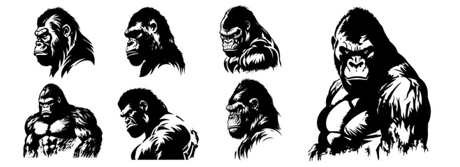 gorilla character poses in bold ink illustration style © Aisha Kudorova