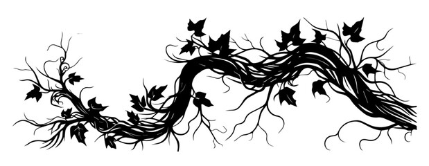 twisting ivy vine branch black and white silhouette illustration © Camel