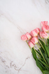 Stunningly Beautiful Pink Roses Displayed Elegantly on a Marble Background Surface.