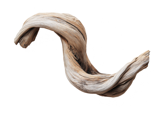 Twisted dry tree branch isolated on transparent background