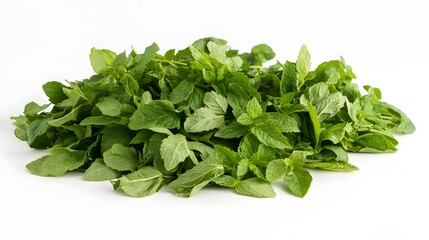 Fototapeta premium Fresh Green Mint Leaves Heap Isolated White Background