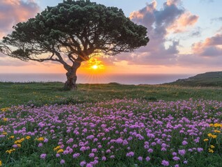 Fototapeta premium Serene coastal sunset with a solitary tree and vibrant wildflowers creating a peaceful and idyllic landscape scene with warm colors