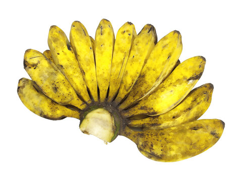 Close-up of a Ripe Saba Banana Bunch (Pisang Kepok) with Visible Brown Spots Isolated on White Background