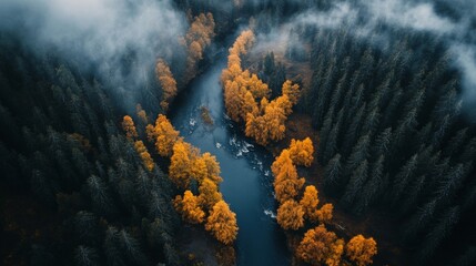Autumnal River Flowing Through Misty Forest: An Aerial View